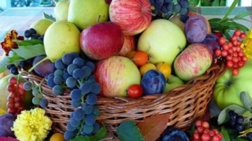The Moldovan fruit farmers' paradox – anybody can produce but only few  chosen can sell - Moldova.org