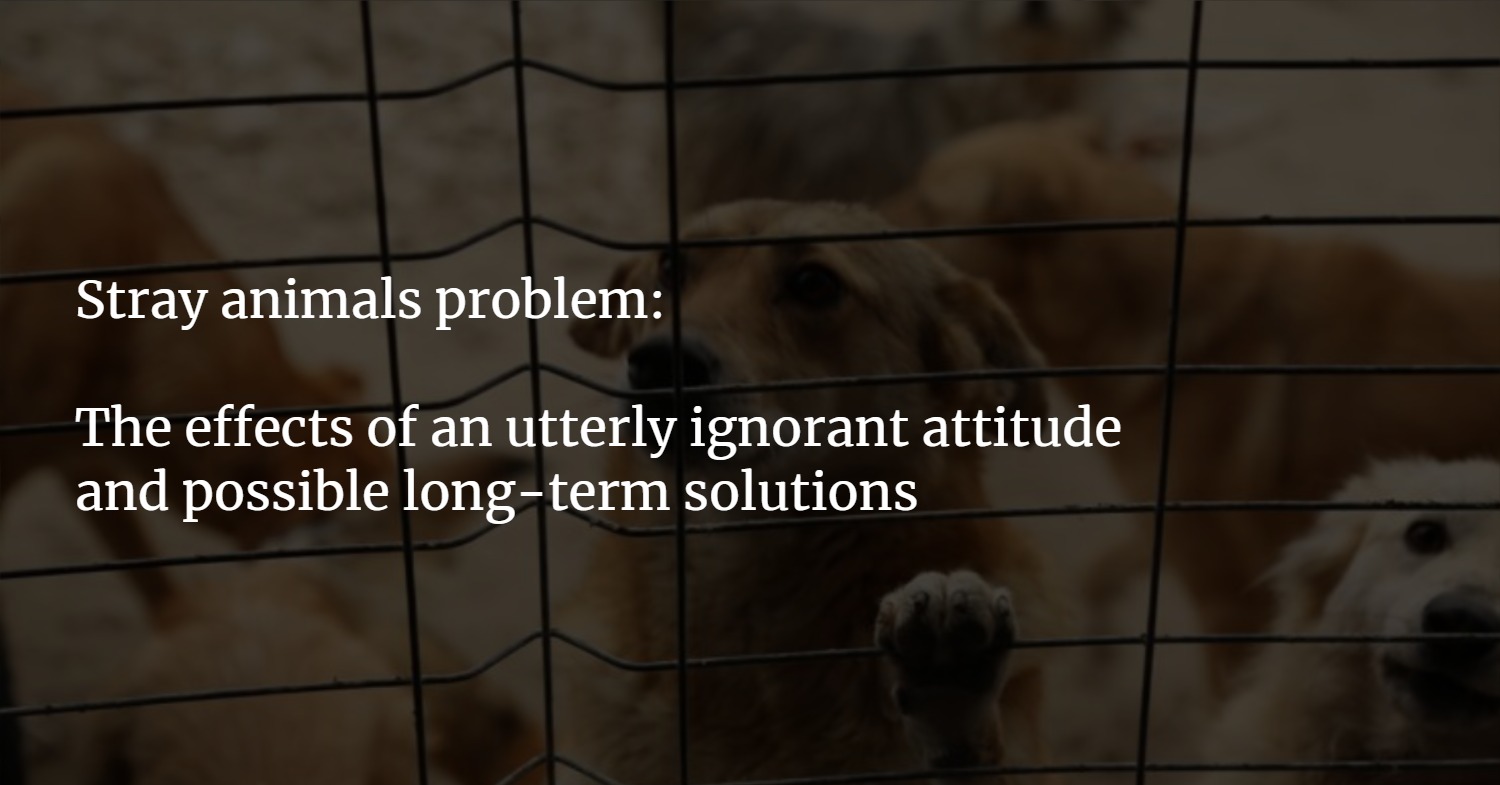 Stray animals problem: The effects of an utterly ignorant attitude and the  possible long-term solutions 