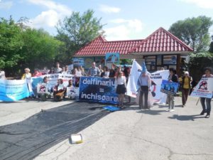 delfinariu protest