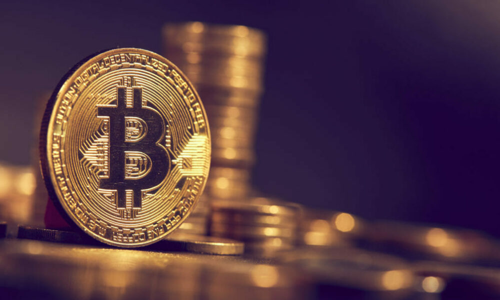companiile bitch bitcoin