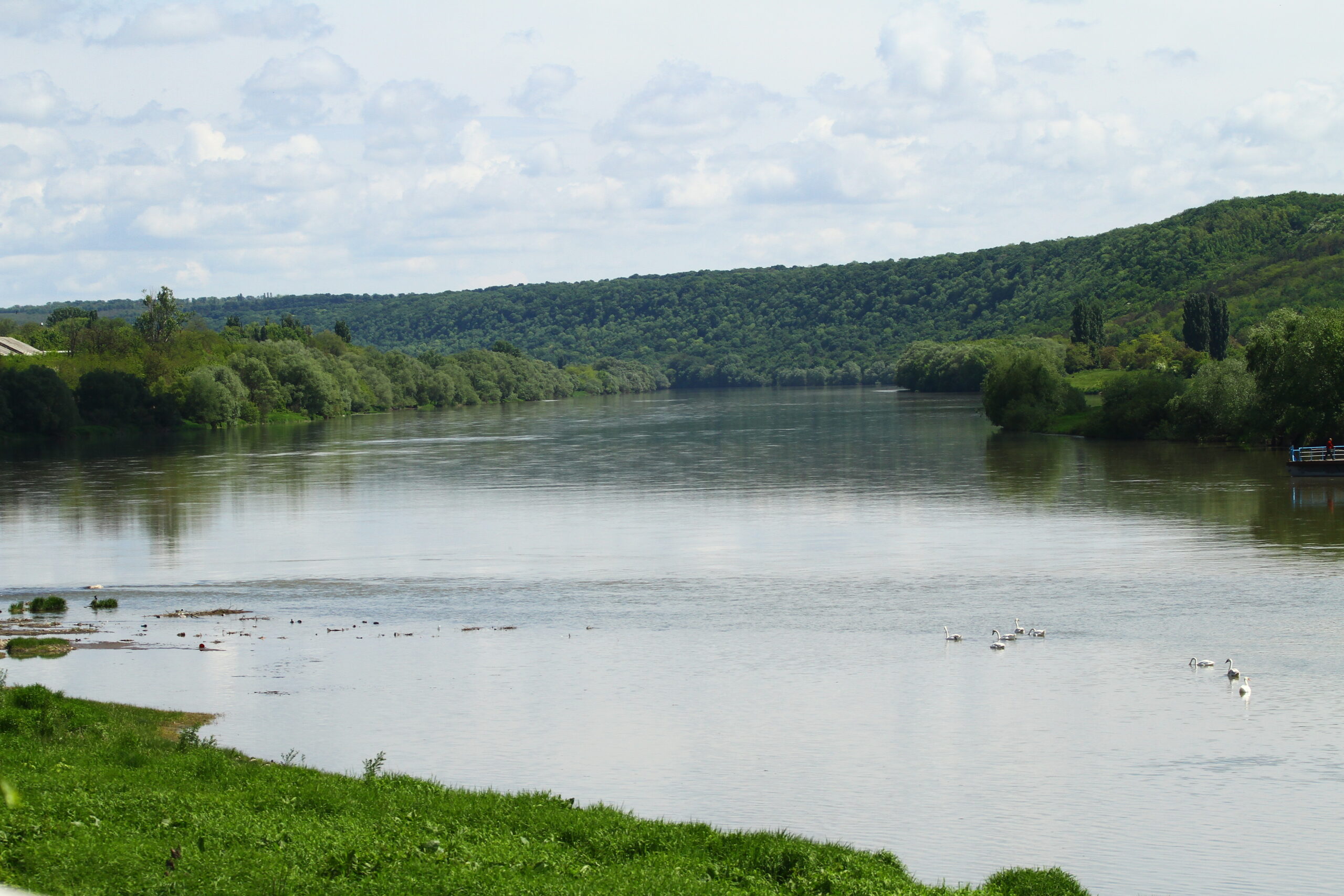 Complexul Hidroenergetic al riului Nistru. Flora, fauna si apa curata