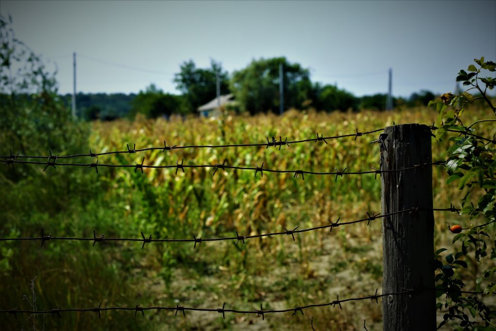 Grănicer între România și URSS. La limita patriotismului și sârmei ghimpate — Moldova.org
