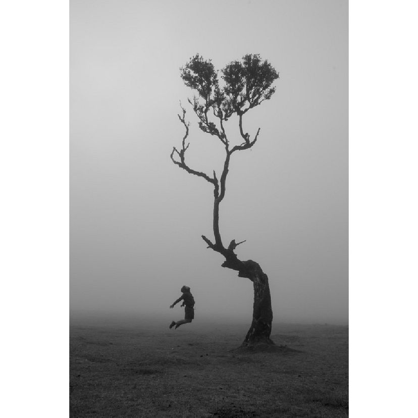 Răpirea naturii, Cristina Băzăr, România, Câștigătoare, Premii regionale, Sony World Photography Awards 2023