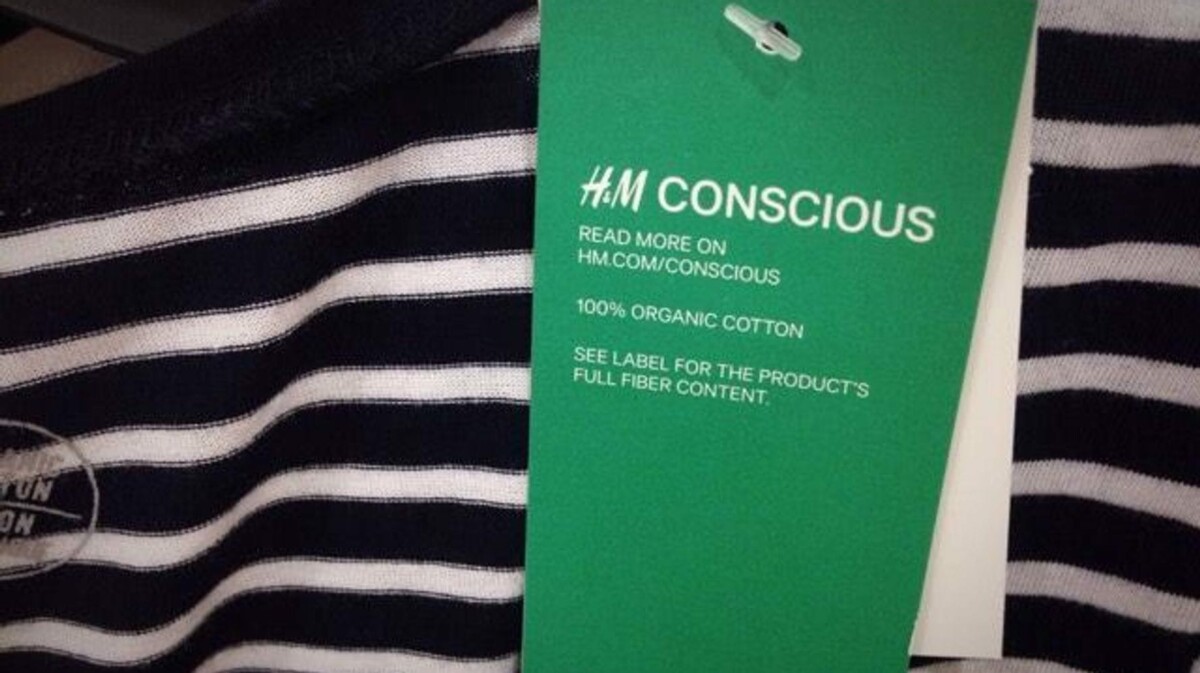 greenwashing h&m