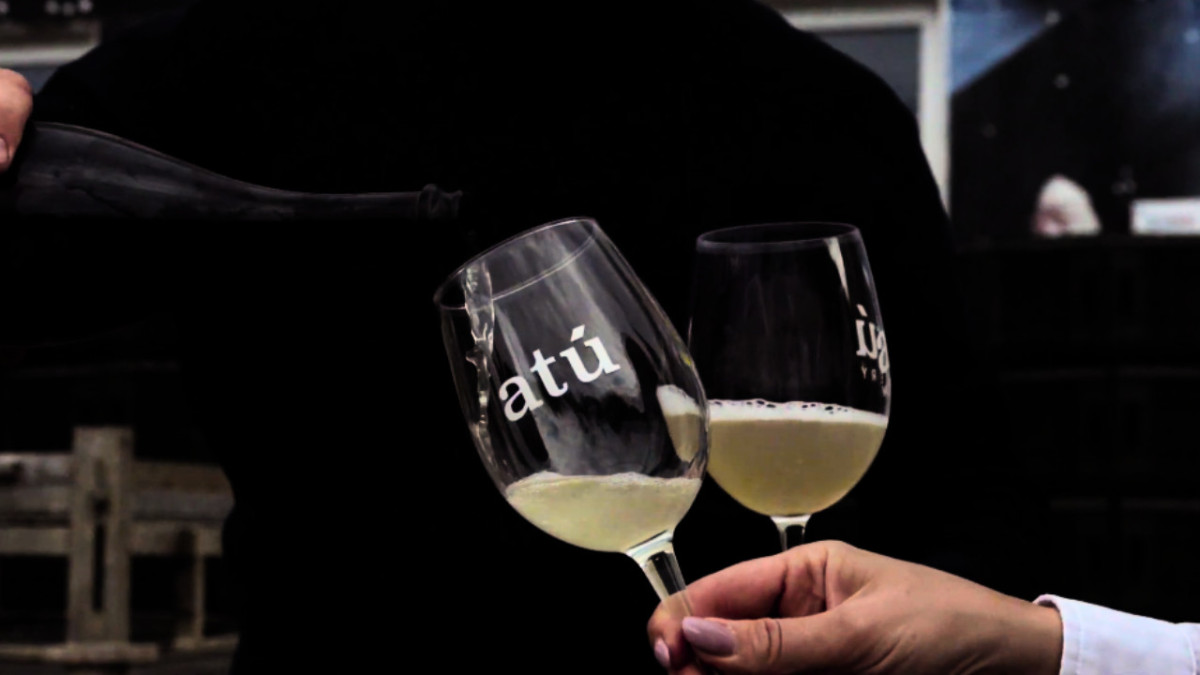ATU Winery: cum să produci vin fără să dăunezi mediului

