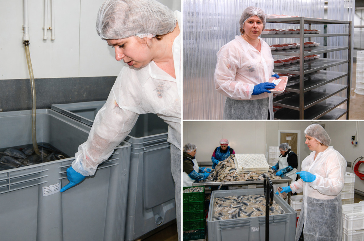 „Dacă nu eu, atunci cine?” Ianna Gaja și disciplina invizibilă a calității în industrie