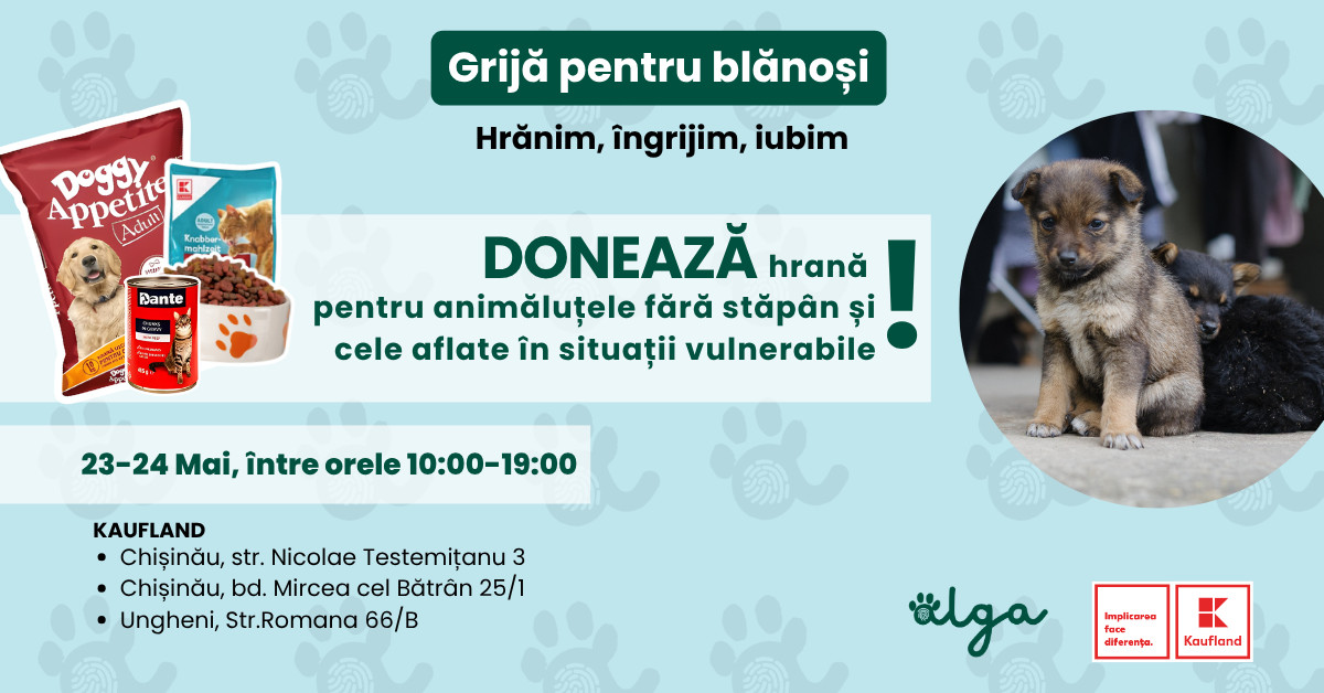 Grijă pentru blănoși: donează hrană pentru animalele fără adăpost pe 23 și 24 mai, în magazinele Kaufland