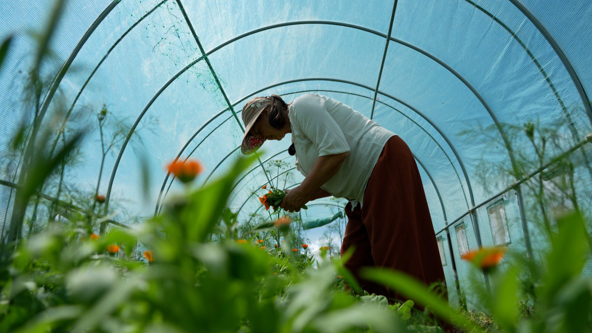 Vera Druță, femeia care crește produse eco și învață răbdarea de la plante